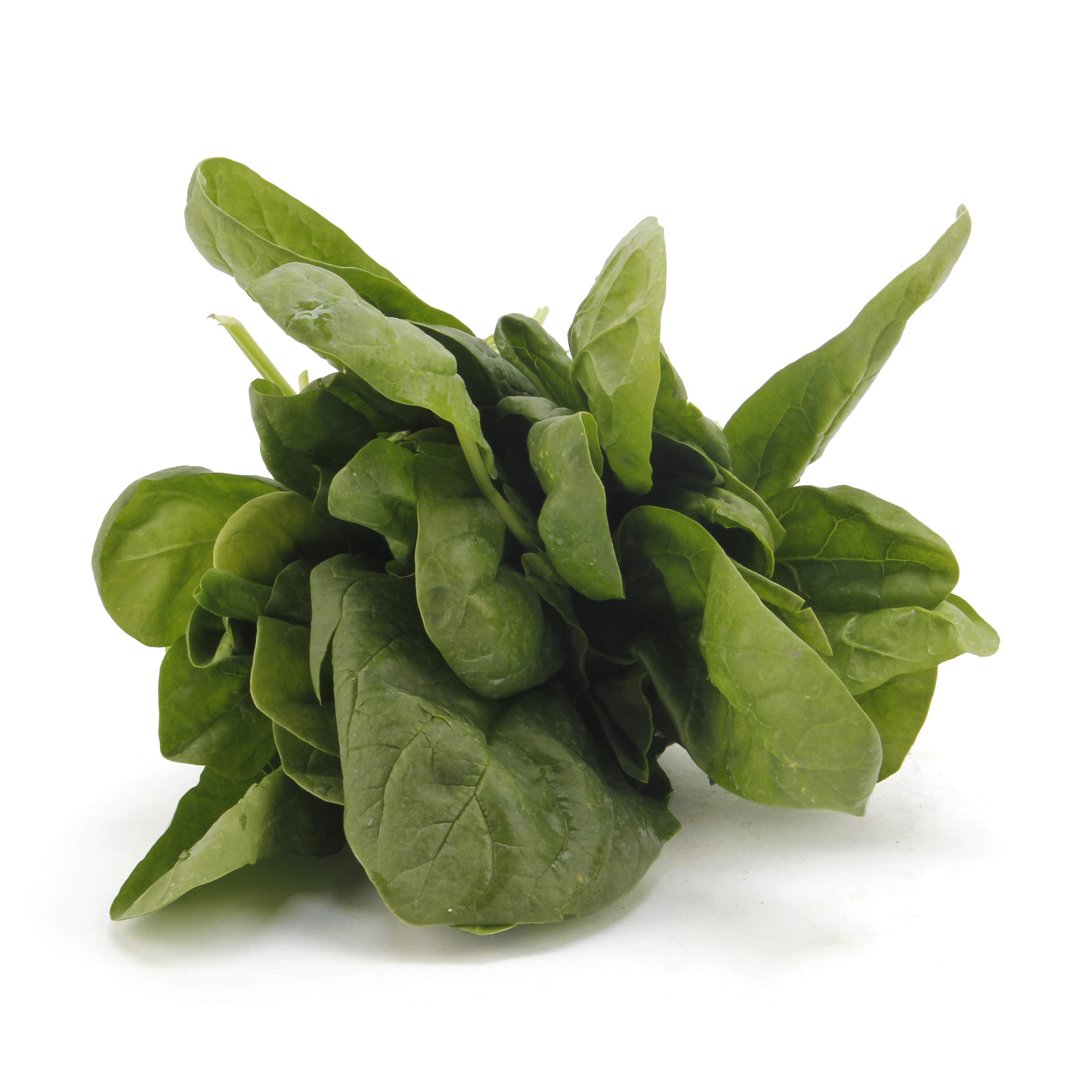 Spinach Bag Conventional, 10 Ounce