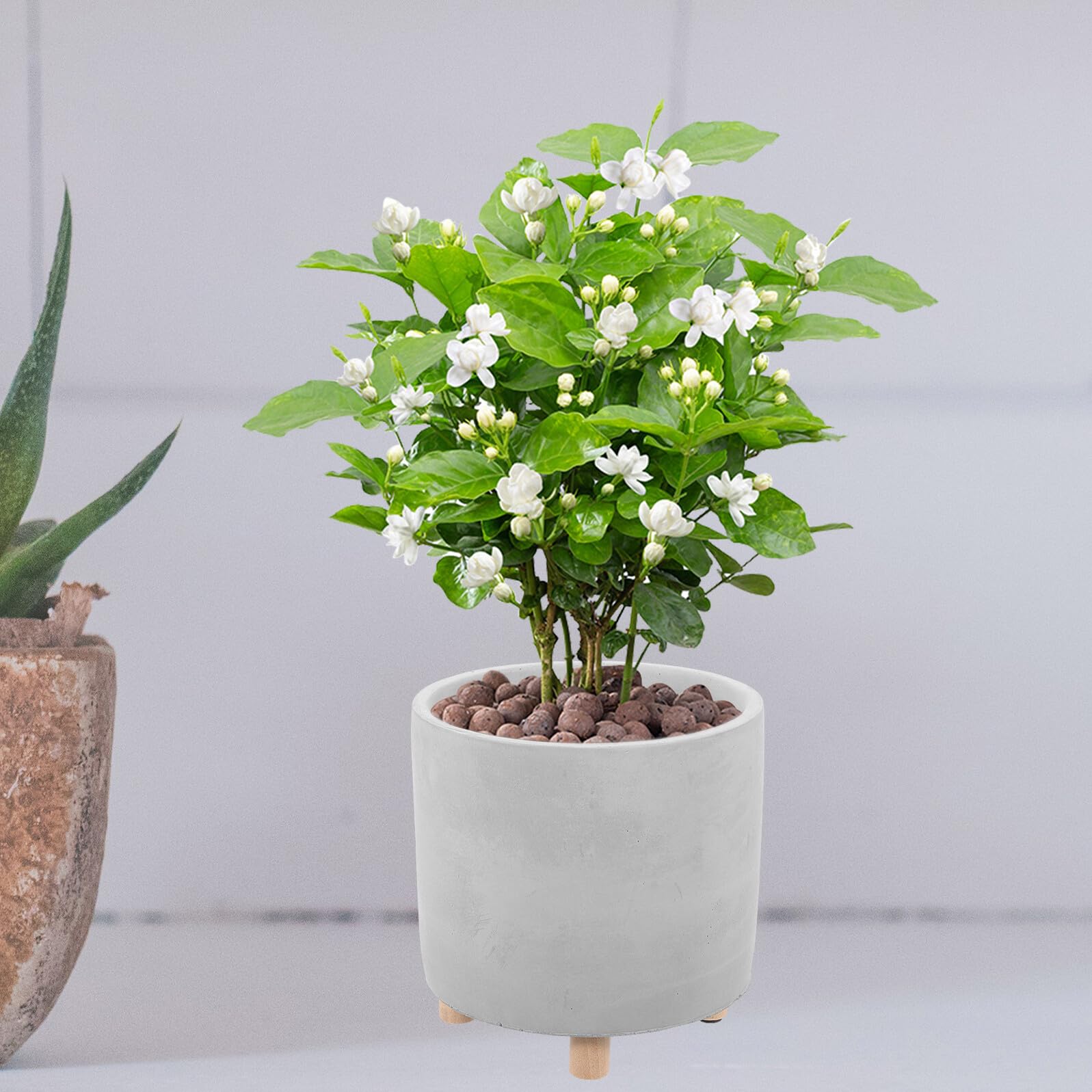Yardenfun Pot de Fleur Simple Ciment avec Bois Jardinière Créative et Aérée pour Plantes Intérieur et Décoration de Jardin Pot Rond