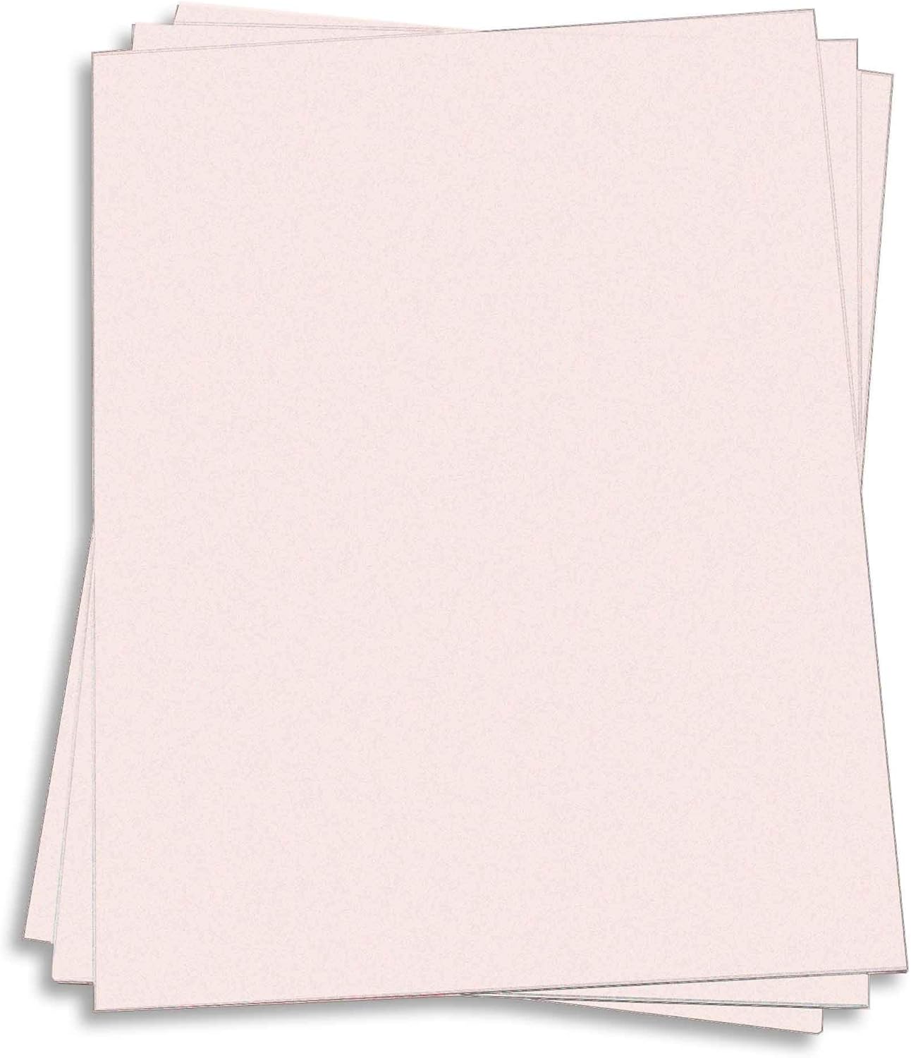 Amazon.com : Powder Pink Card Stock - 12 x 18 Gmund Colors Matt 111lb ...