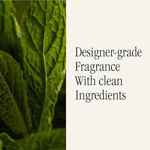 Miniatura 41 de Pura Recambio de aroma para el hogar, difusor de aire inteligente para el hogar, hasta 120 horas de fragancia de lujo por recarga, esencial