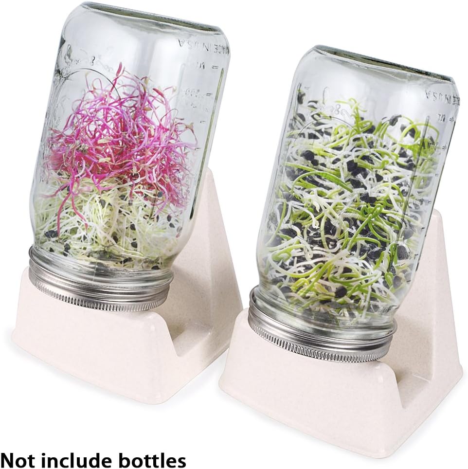 SUMNACON Sprouting Jar Stand - 3 Pcs Sprouting Stands With Water Tray For Any Mason Jars For Making Broccoli/Lentil/Bean Sprouts