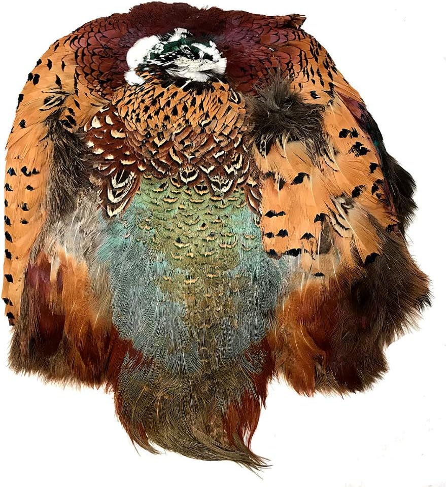 American Feathers #1 Quality Ringneck Pheasant Skin - Product of The U.S.A. (Natural)