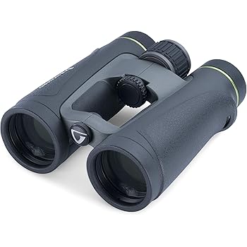hoya binoculars