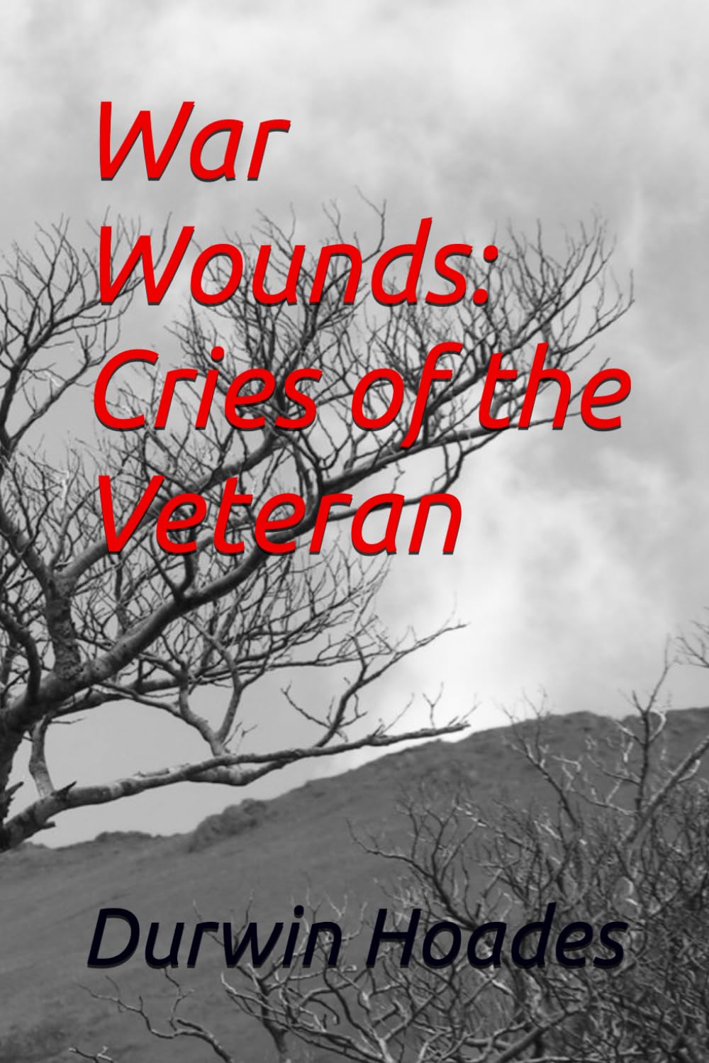 War Wounds: Cries of the Veteran