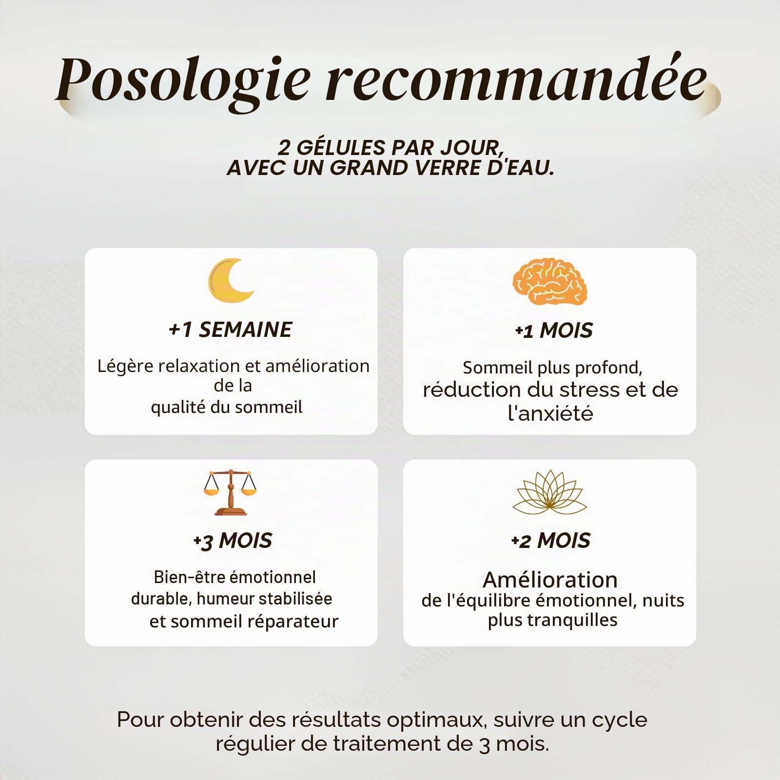 French Mush Pack Marathon Cordyceps & Reishi Bio - 112 Gélules