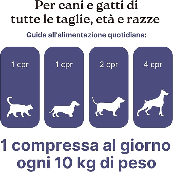 ArtoPet Defense Longevity Pet 60 Tablets | Dog and Cat Joint Supplement | Supplements for Dogs with Glucosamine and Chondroitin | Osteo-Joint Health | Made in Italy - 5