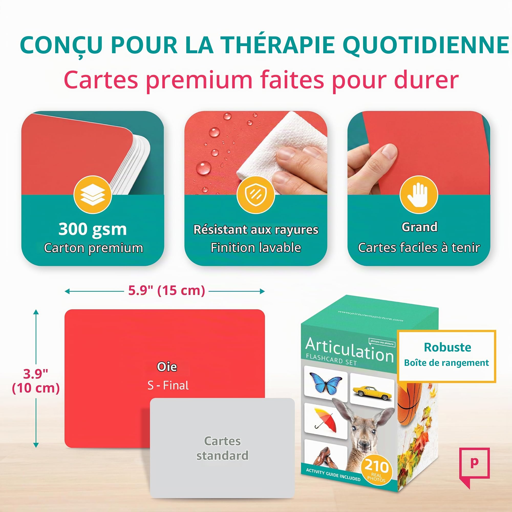 Picture My Picture Lot de 210 cartes flash articulées – Outil d'orthophonie pour vocabulaire, communication et pensée, résistant aux rayures avec guide d'activités, convient pour l'éducation, l'ESL et