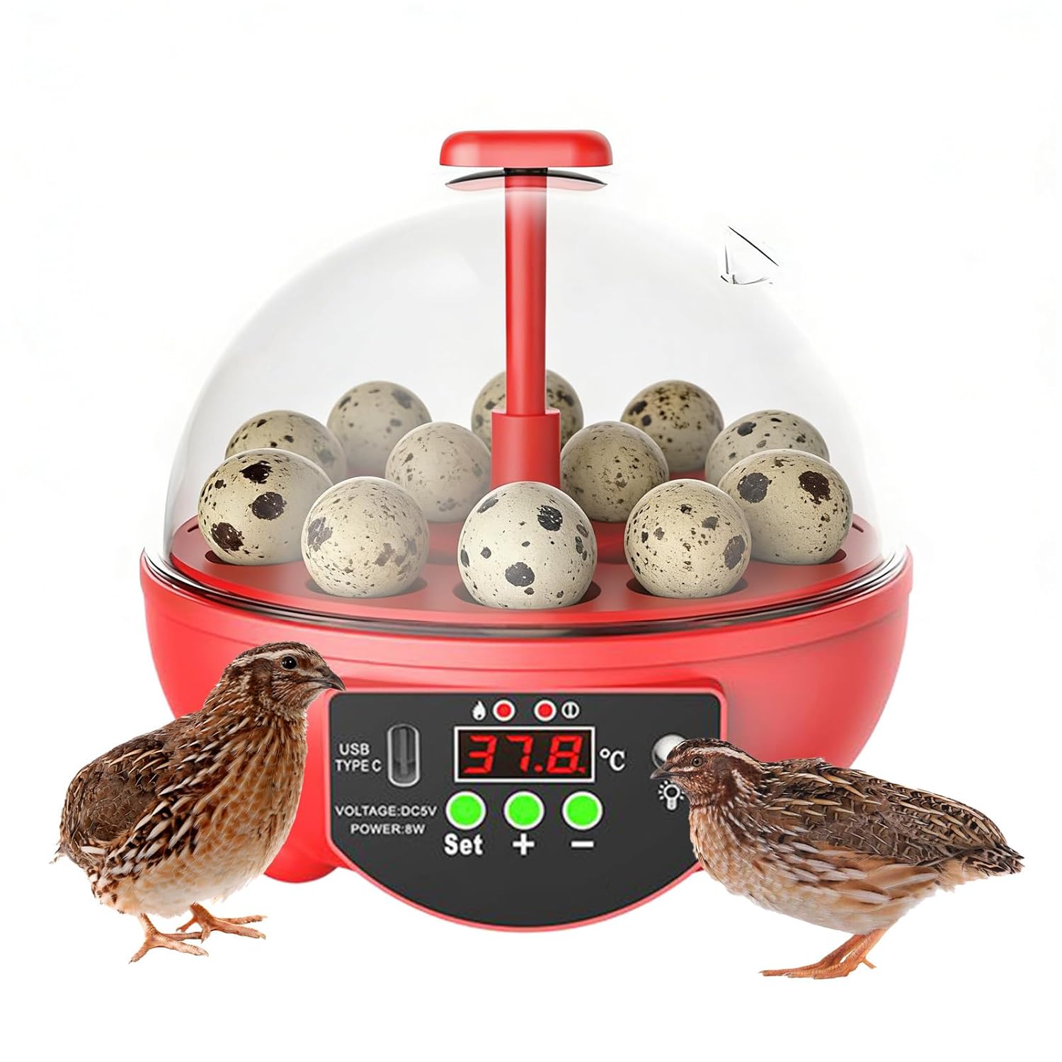Chicken Egg Incubator | 6-Slot Candler Box,Clear Window Egg Hatching Incubator with Automatic Temperature and Humidity Control - for Chicken Duck Quail Bird Farm