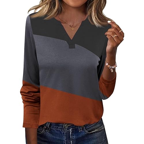 Micoson Women's Long Sleeve Tops Dressy Casual Fall Clothes Fashion 2025 V Neck Clothing Color Block T Shirts