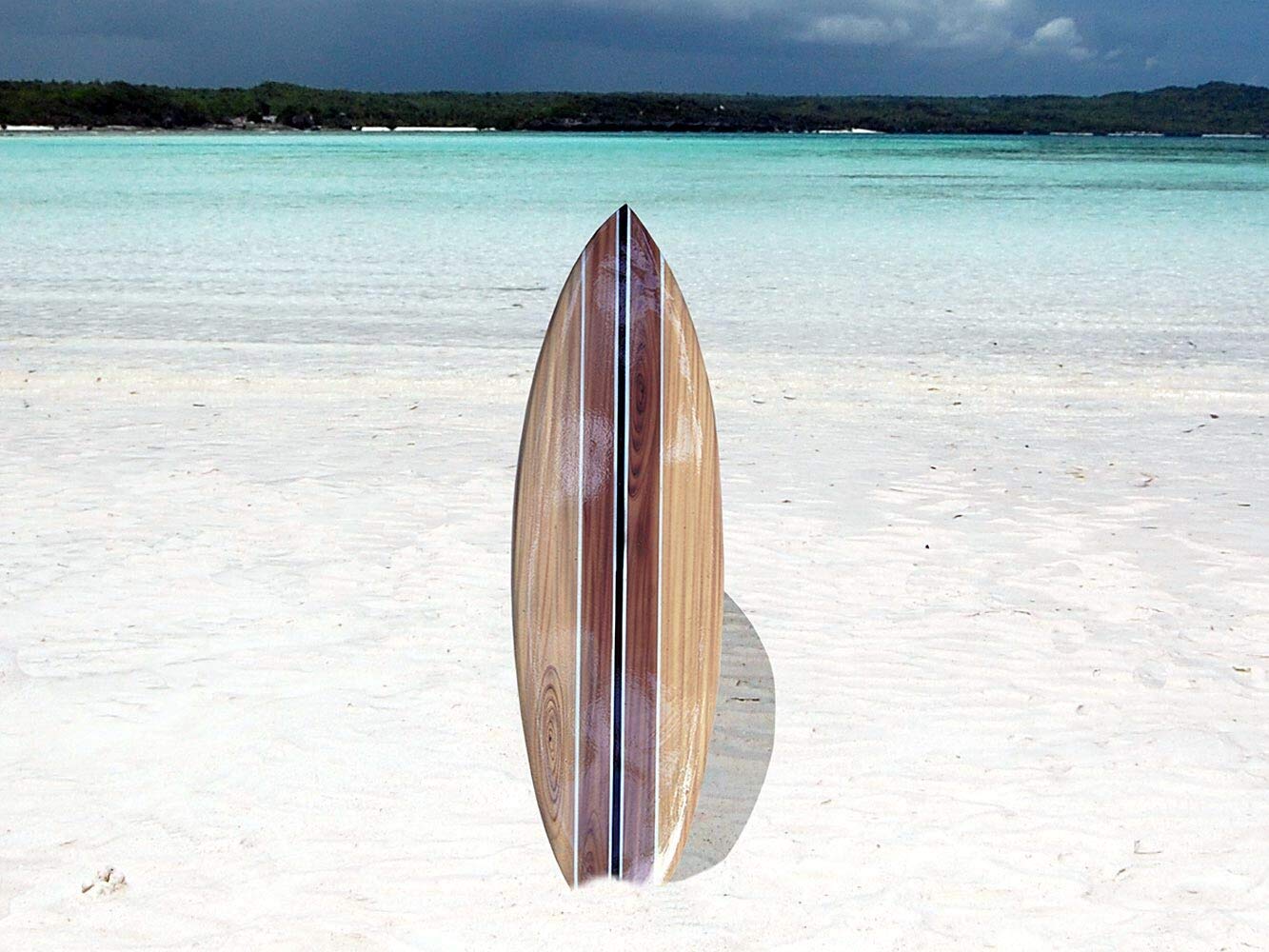 TAVOLA DA SURF legno cartello in legno farfalle decorative per parete