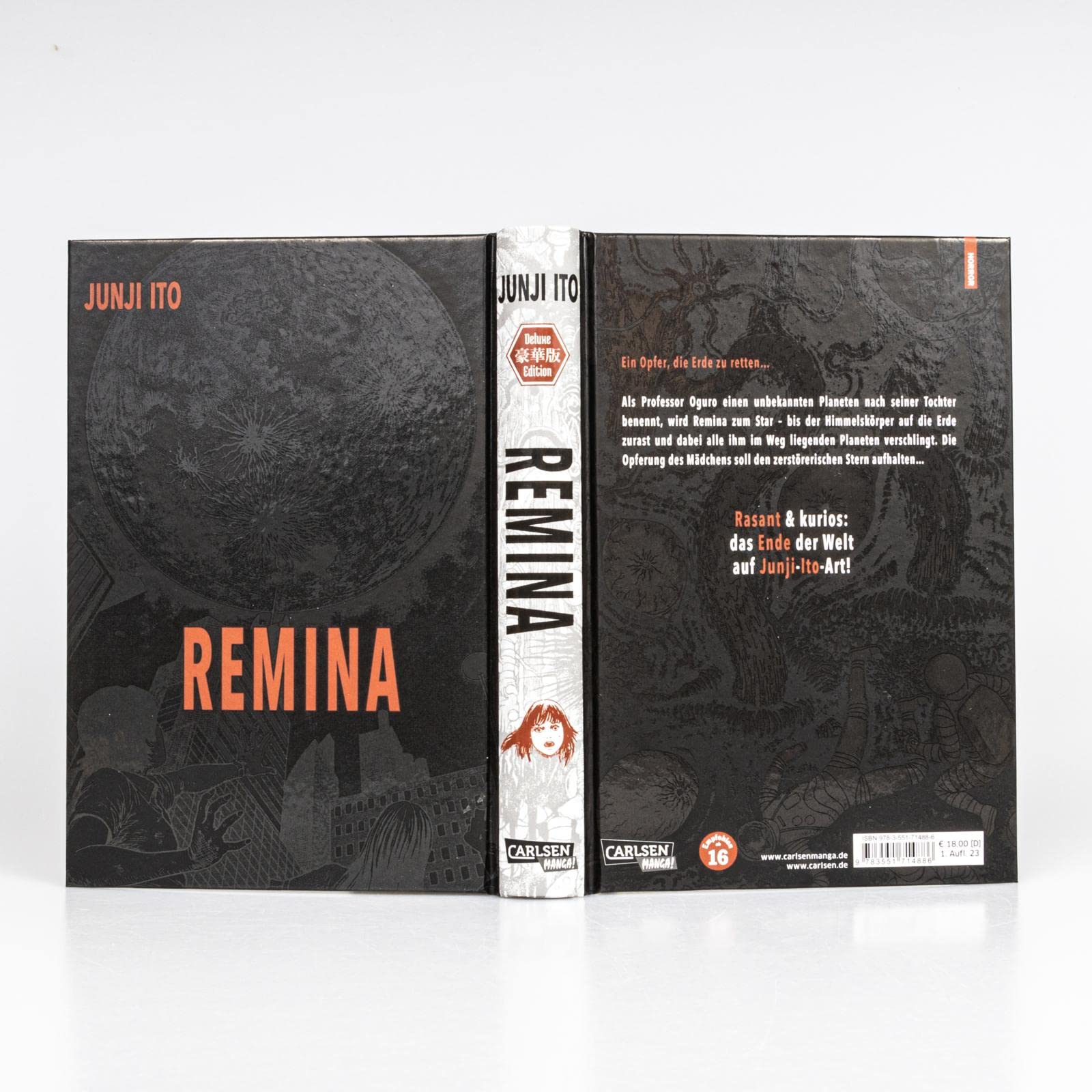Remina: Mysteriöse Gefahr aus dem Weltall und ein menschliches Opfer... Ein schaurig-schöner Horror-Manga ab 16 Jahren!