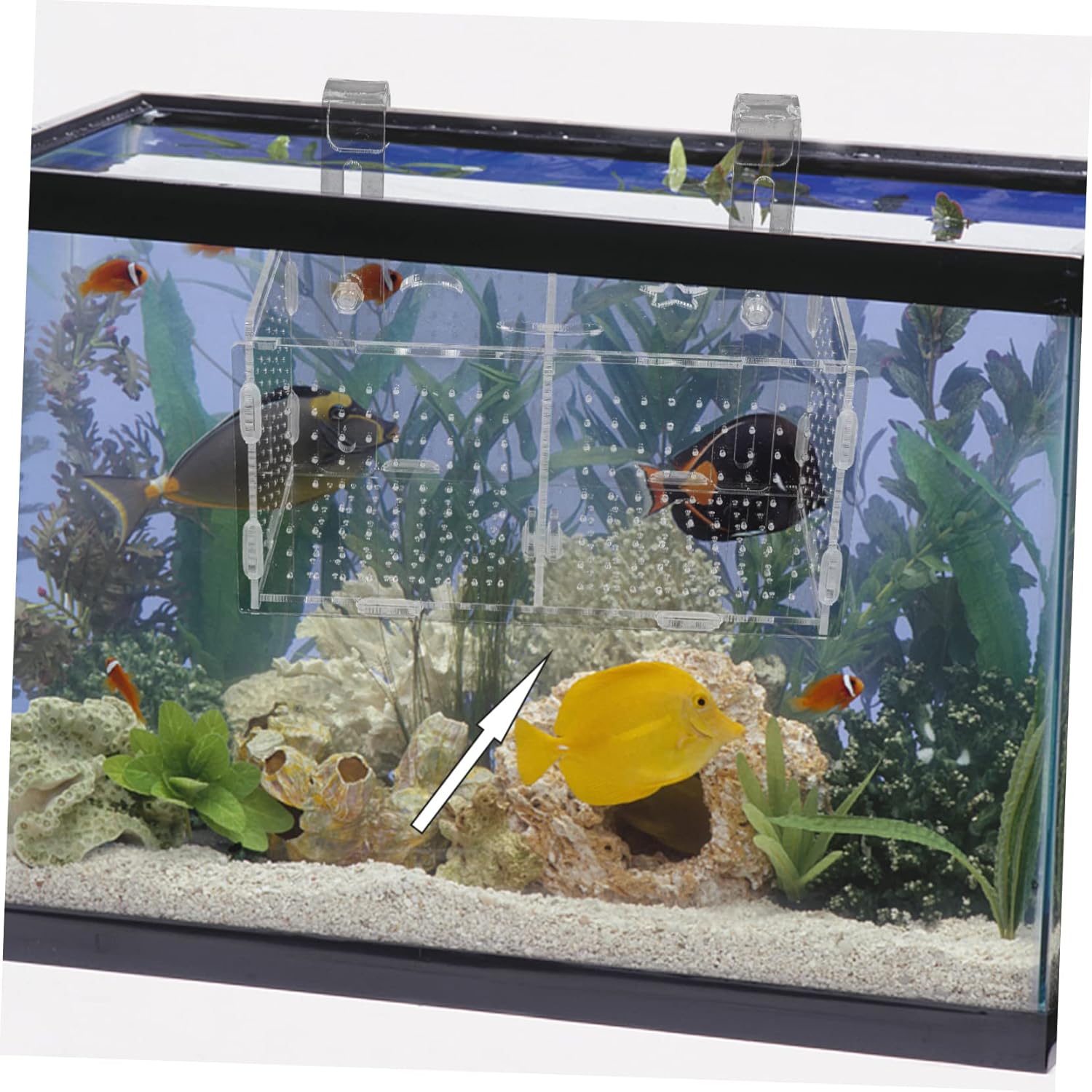 1set Fish Isolation Box Acrylic Breeding Incubator for Betta Fish with Cups Efficient Hatching Box for Home Aquariums Prevents Fry Easy Installation