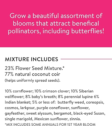 Miniatura 6 de Burpee Mezcla de flores silvestres Monarch Sanctuary Seeds 25,000 semillas sin OMG, 3 tipos de hierba de mariposa más aciano, altramuces