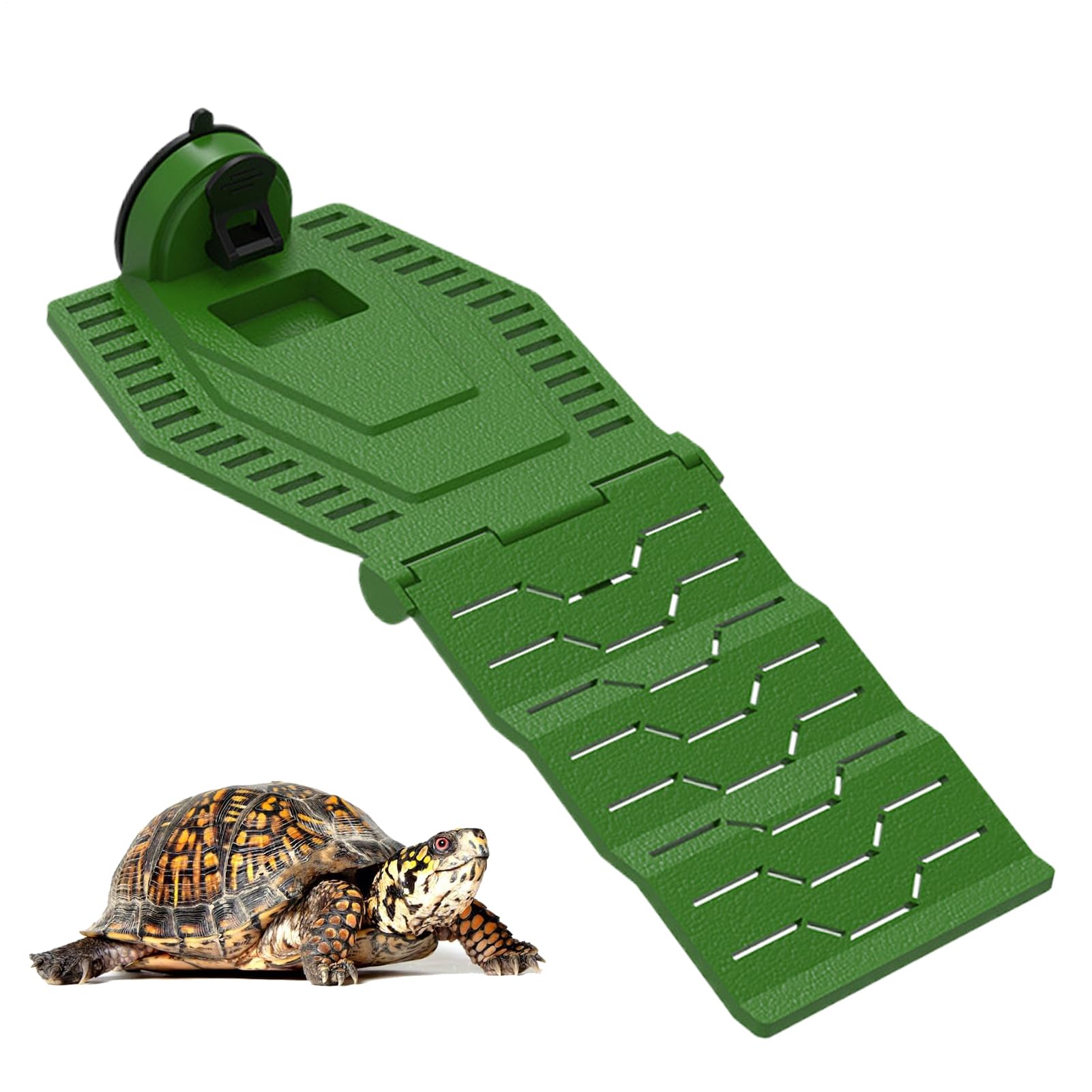 Terrasse de repos pour tortue gecko, rampe pliable pour aquarium et accessoires de bassin