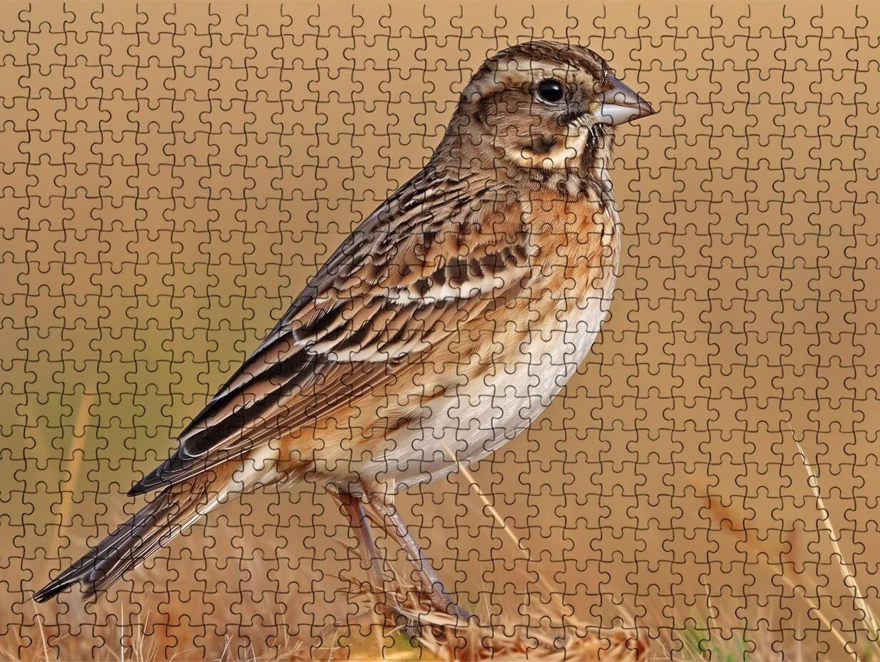 Puzzle ze zwierzętami i ptakami, 6000 elementów, puzzle dla dorosłych, nastolatków, do aktywności w domu, trudne gry rodzinne, klasyczne puzzle jako prezent i dekoracja ścienna R3KH-148