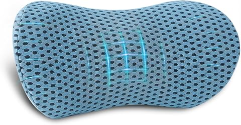 Lumbar Pillow, Memory Foam Lumbar Support Pillow for Offi...