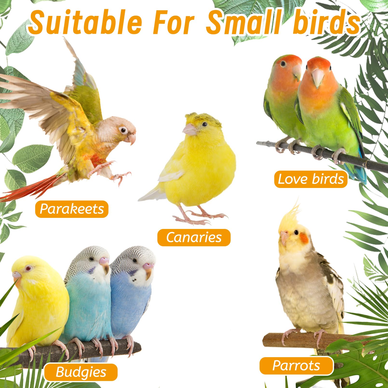 Hamiledyi Nature Wooden Bird Ladder Pet Parrots Climb Bridge Exercise Stands for Parakeet Climbing Chewing Bridge Bird Cage Accessories for Cockatiel Parakeet Lovebirds Budgie - image 7