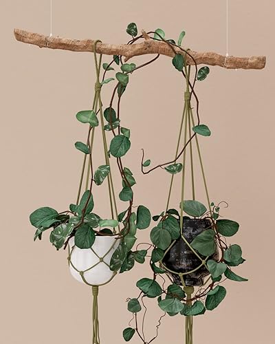 Miniatura 6 de Munzong - Cuerda de macramé color verde militar de 0.197 in x 109 yardas, cuerda de algodón natural colorida hecha a mano para macramé, 4 hebras