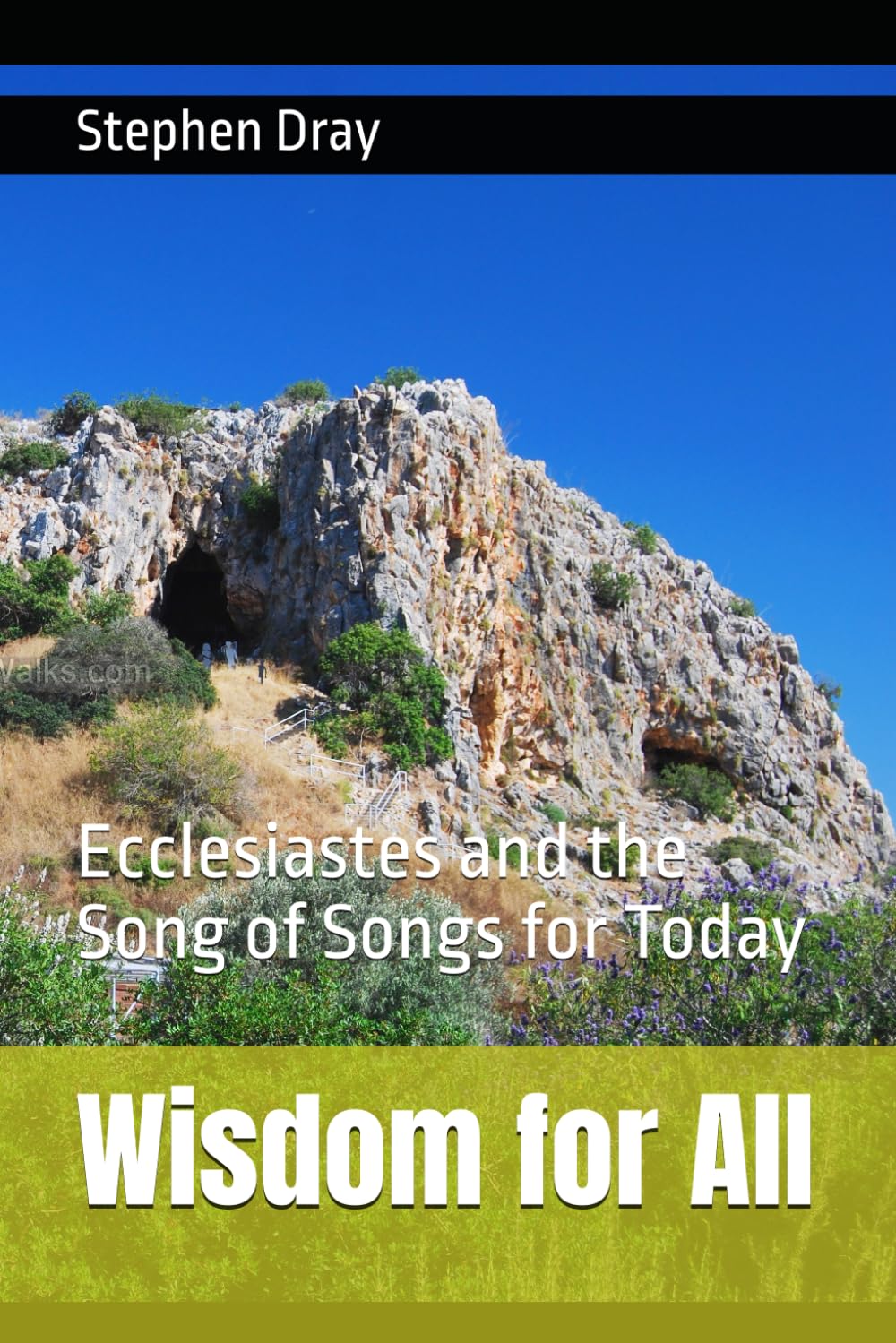 Wisdom for All: Ecclesiastes and the Song of Songs for Today (Carn Brea Bible Studies)