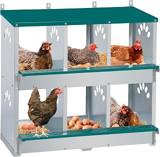 Toriexon 6 Compartment Metal Chicken Nesting Box - Wall Mountable Green Egg Nest for Hens, Durable Galvanized Steel