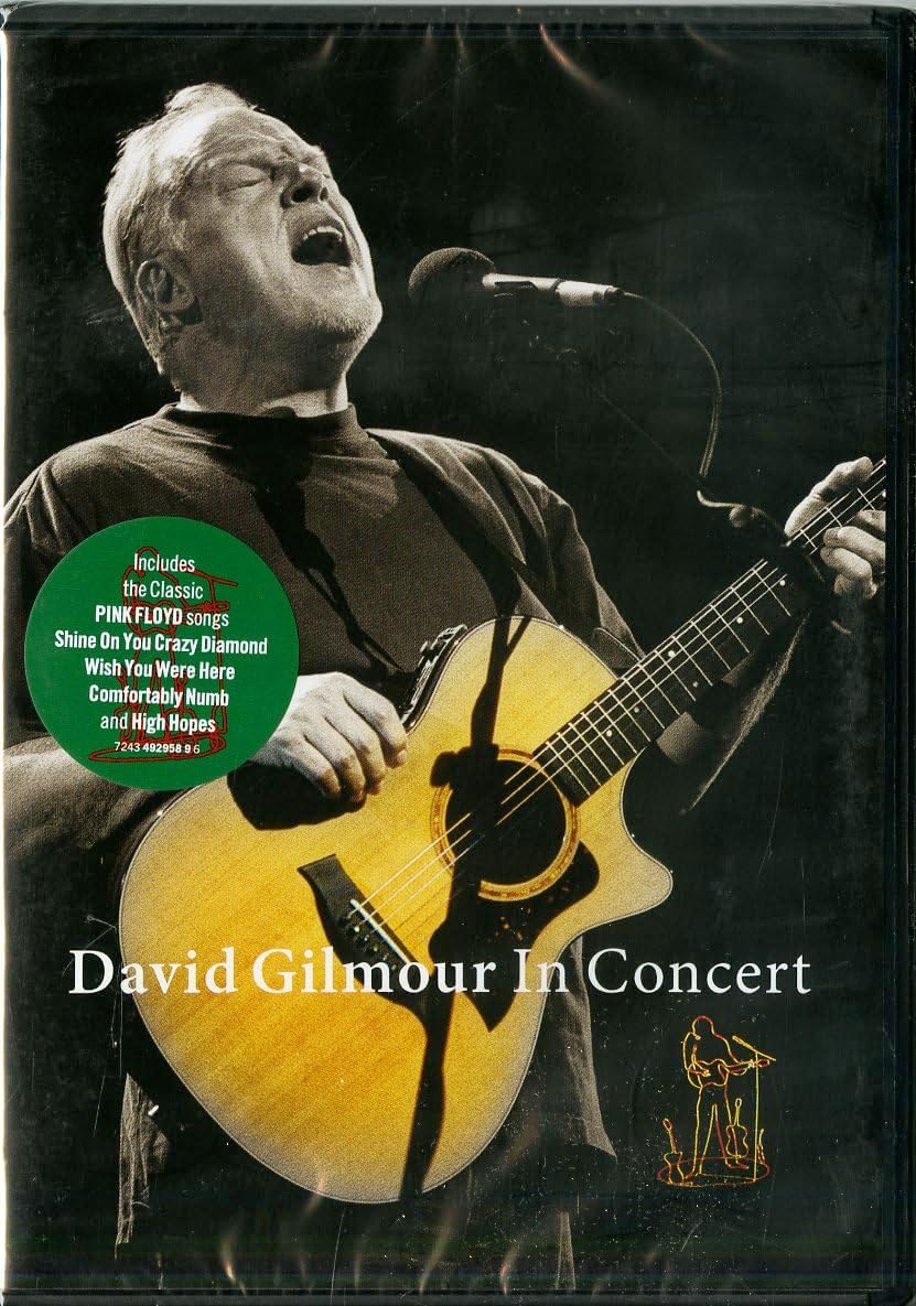 David Gilmour In Concert [DVD] [2002]