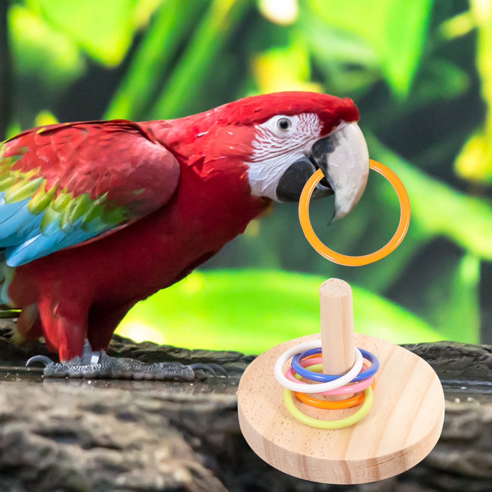 BESPORTBLE 8sätze Papageien Spielzeug Aus Holz Interaktives Tower Spielzeug Für Nymphensittiche Wellensittiche Intelligenztraining Für Vögel Teiliges Mit Zufälligen Farben Fördert Spiel