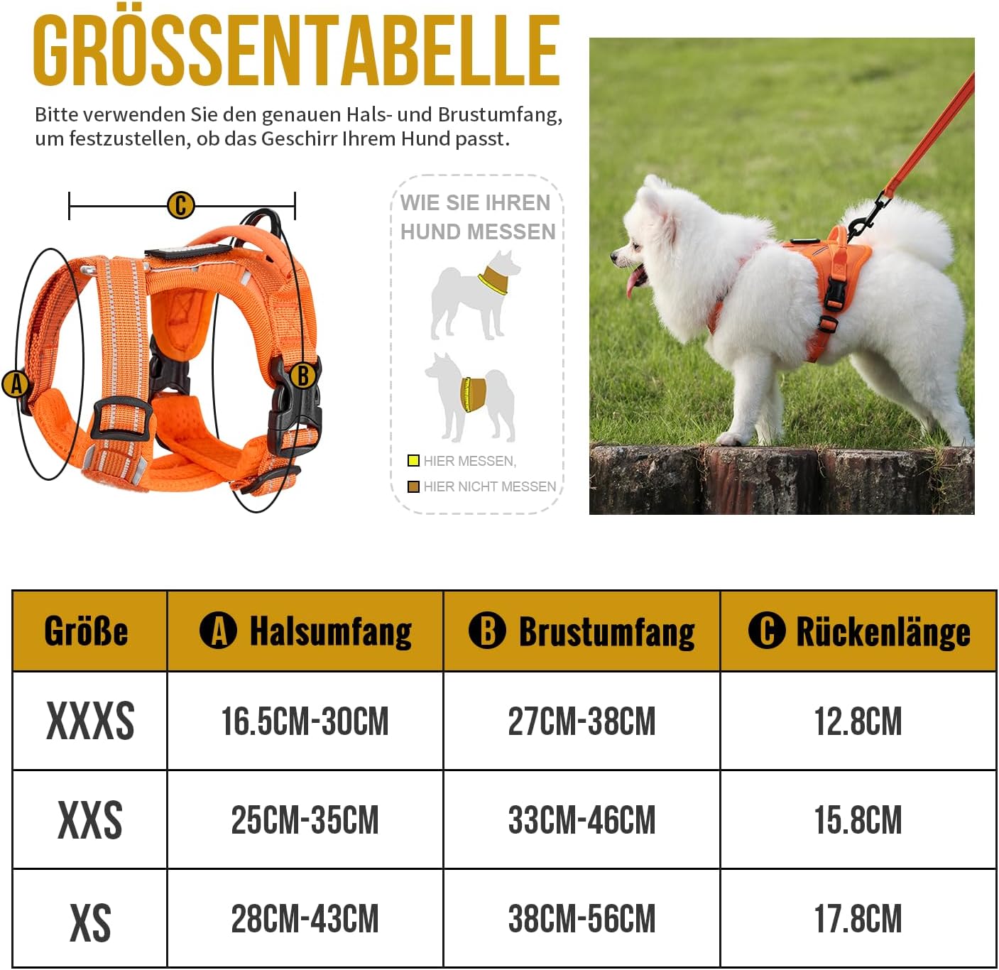 OneTigris ANTZ Taktikai Hámkészlet különböző nézetek