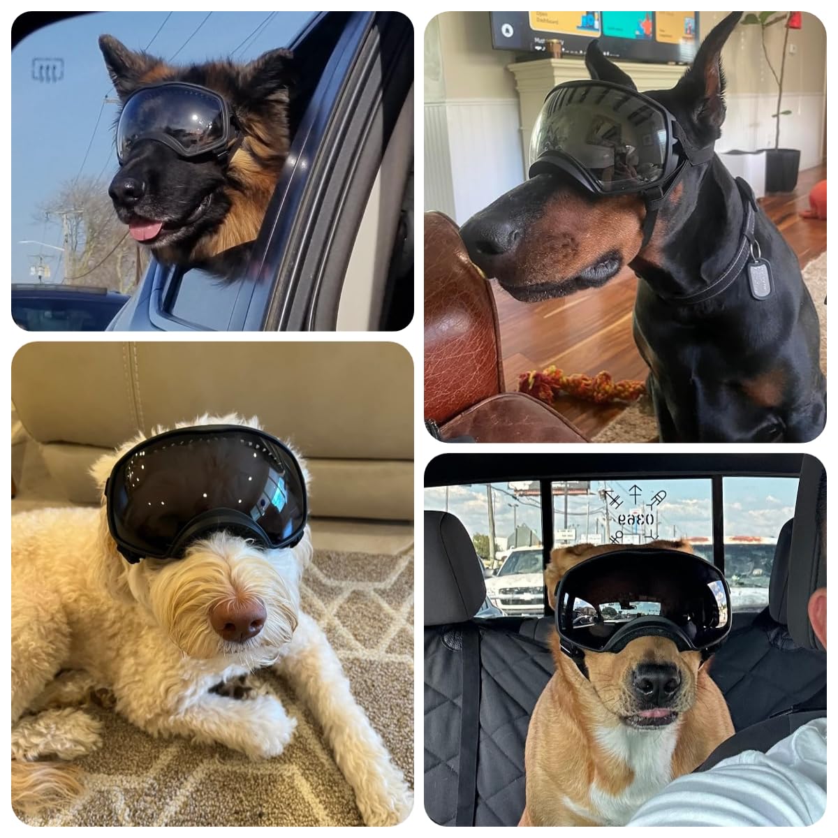 NAMSAN Gafas de Sol para Perros con Protección UV Gafa con Cinta Ajustable y Almohadillas de Espuma Gafas de Sol para Mascotas Protegen los Ojos para Perros Grandes- Negro