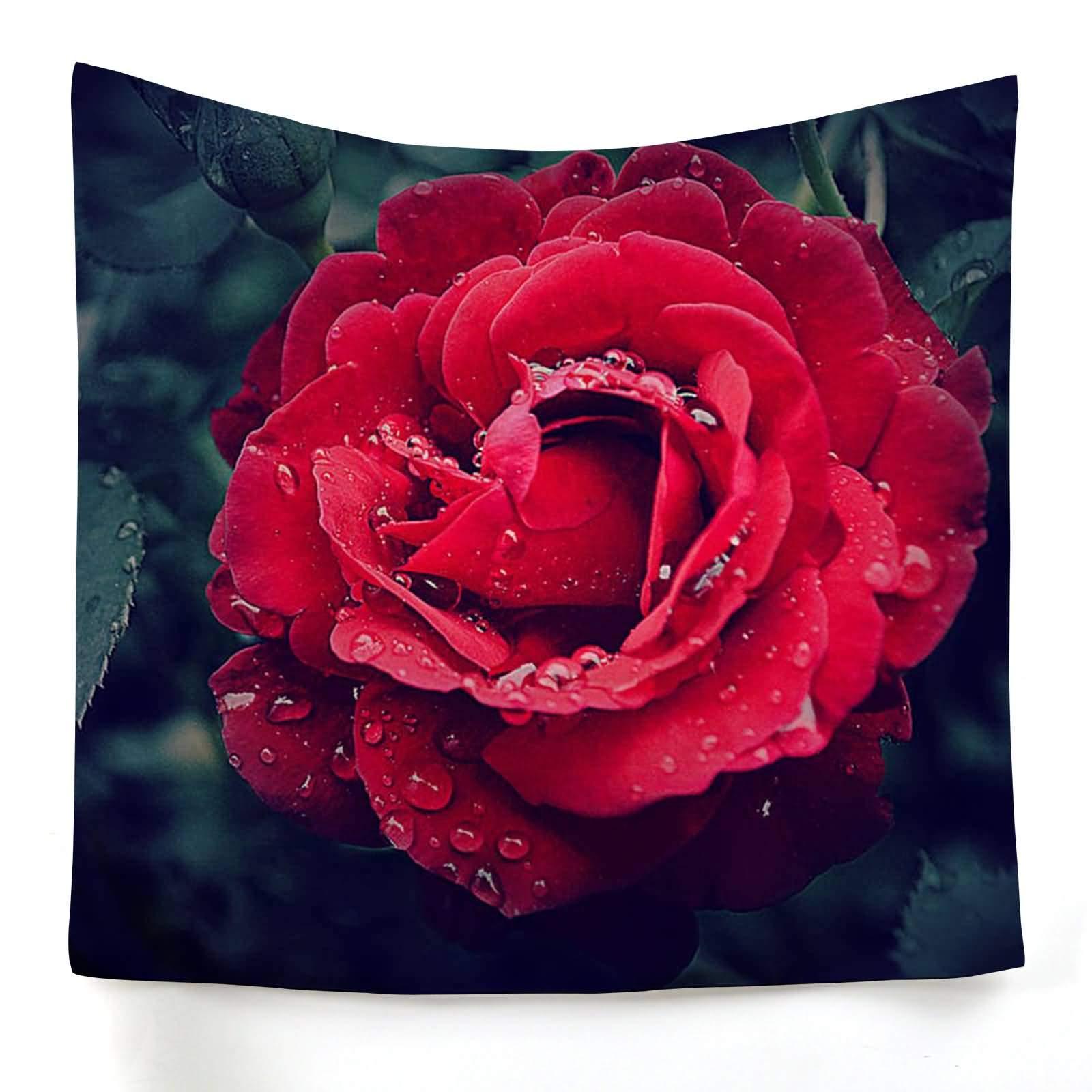 Tapiz de pared de poliéster KnSam rojo para cubrir fondos de salón