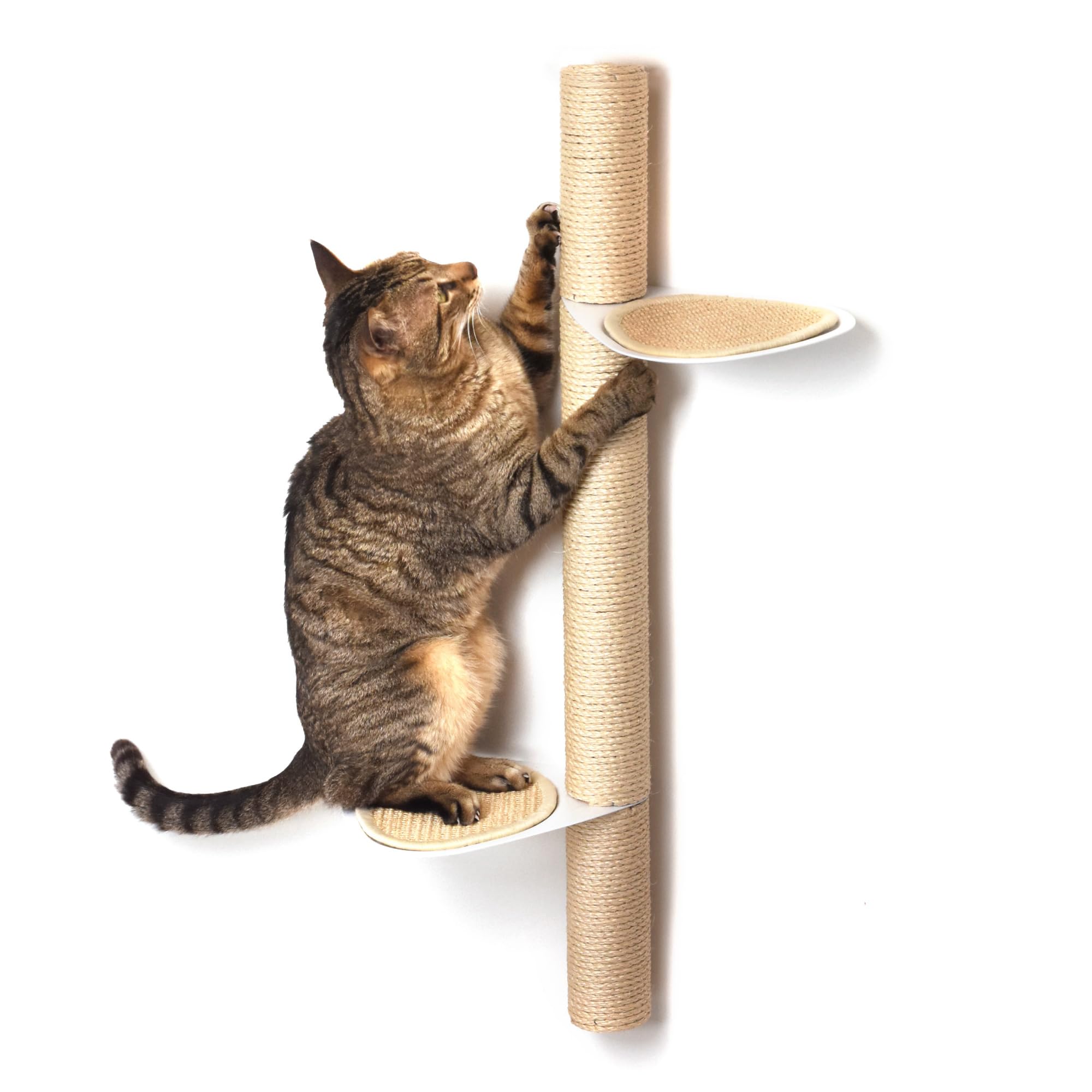xympo 34" Wall-Mounted Cat Tree – Modern Space-Saving Cat Shelf with Sisal Scratching Post & Steel Climbing Steps – Stylish Cat Wall Furniture for Small Spaces