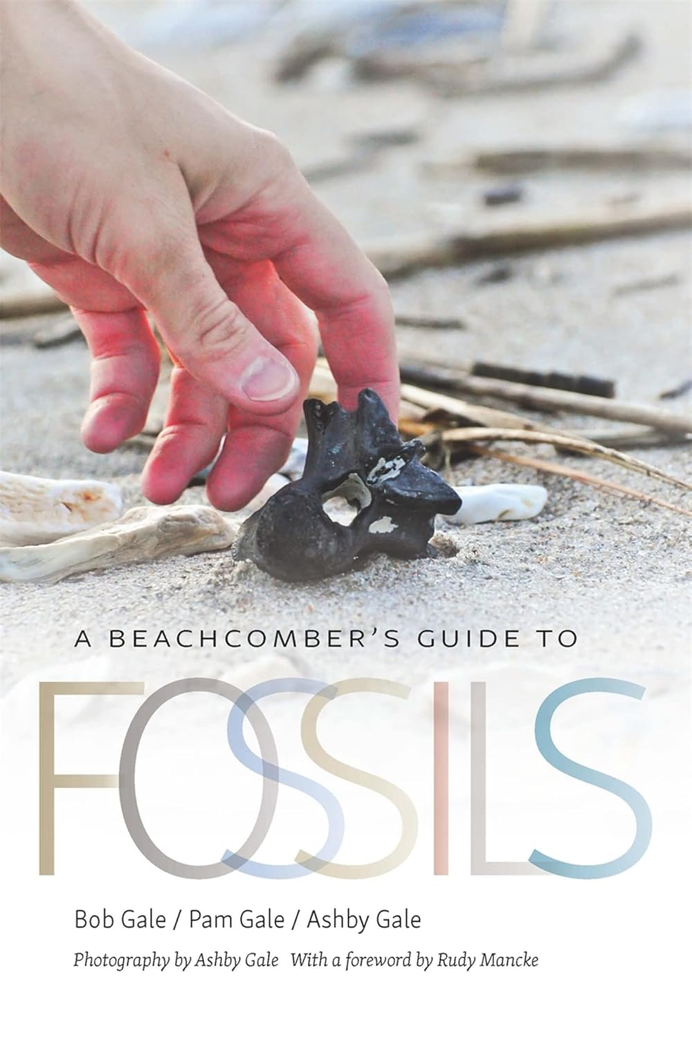 A Beachcomber's Guide to Fossils (Wormsloe Foundation Nature Books)      Paperback – Illustrated, December 15, 2020