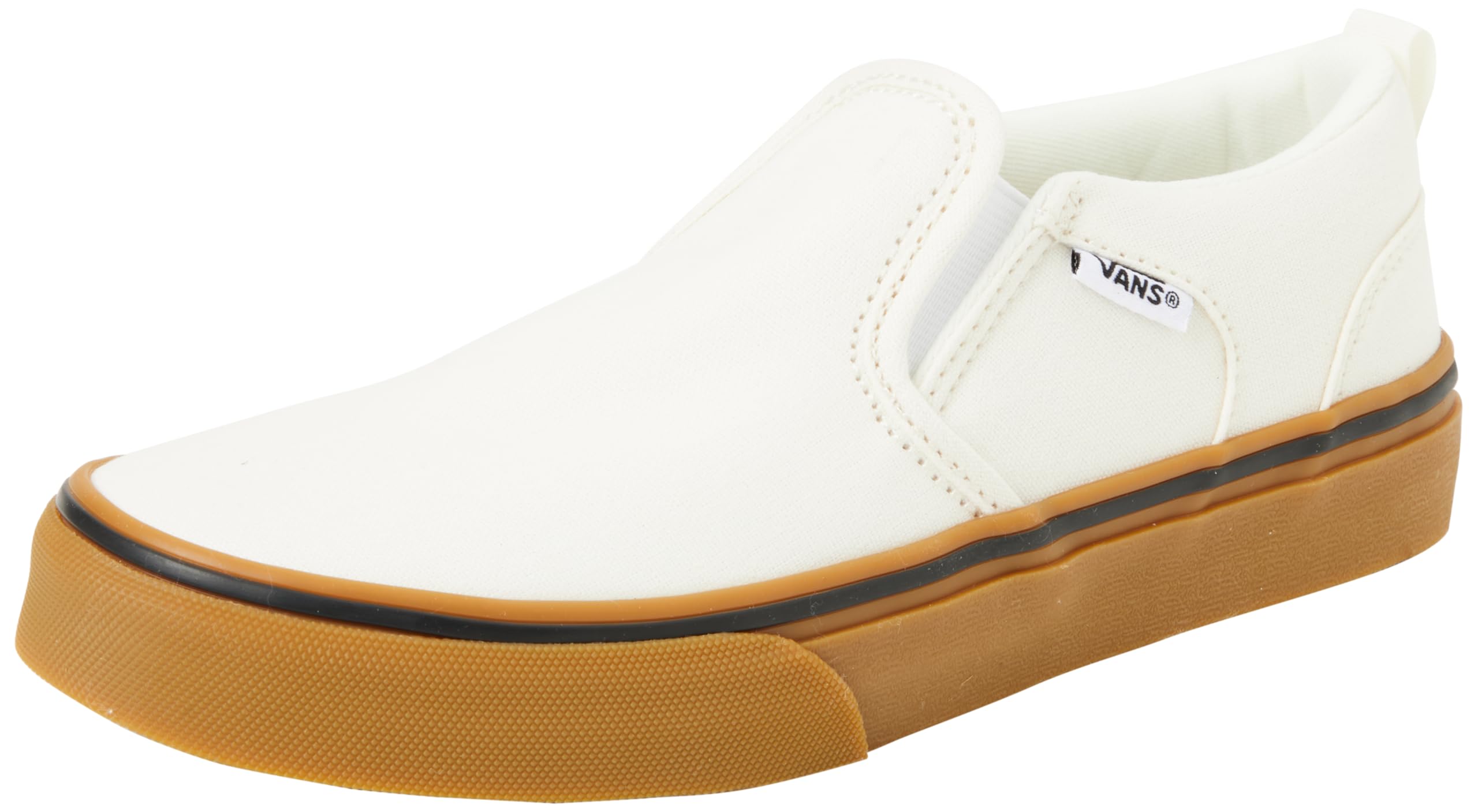Vans Vans Unisex Kid's Asher Sneaker