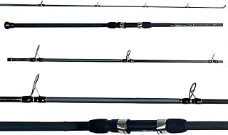 tsunami bracer rod and reel