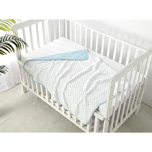 CREVENT Minky Baby Blanket for Girls Boys, Soft Plush Receiving Blanket for Newborns - 30x40 Inches (Blue + White)