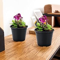 KINGLAKE 100 db fekete műanyag virágcserép 10 cm kerek palántanevelő edény 6