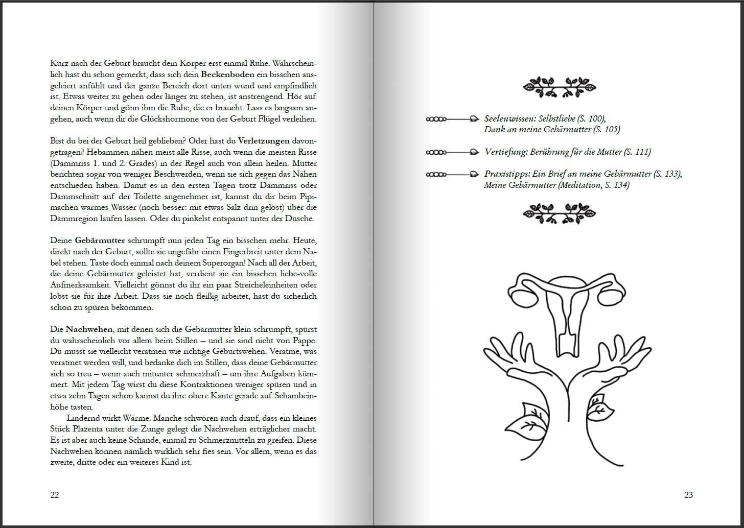 Wochenbett - Überlebenshandbuch, Tagebuch und Anker für die ersten Wochen nach der Geburt: Basiswissen, Illustrationen und Übungen, Praxistipps