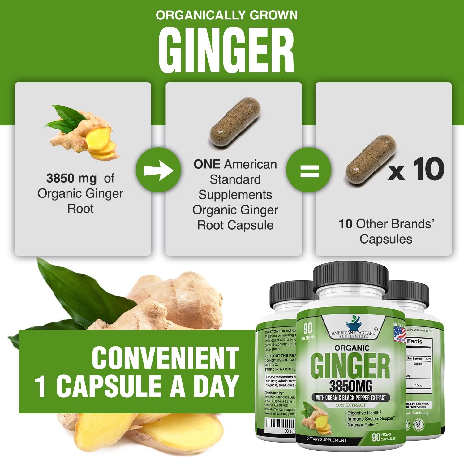 Ginger Root Capsules Organic 3850mg, Ginger Powder, Ginger Supplements, Ginger Capsules, Ginger Pills, Ginger Extract, Organic Ginger Root, Immune Support, Alternative to Ginger Chews, 90 Veg Capsule : Health & Household