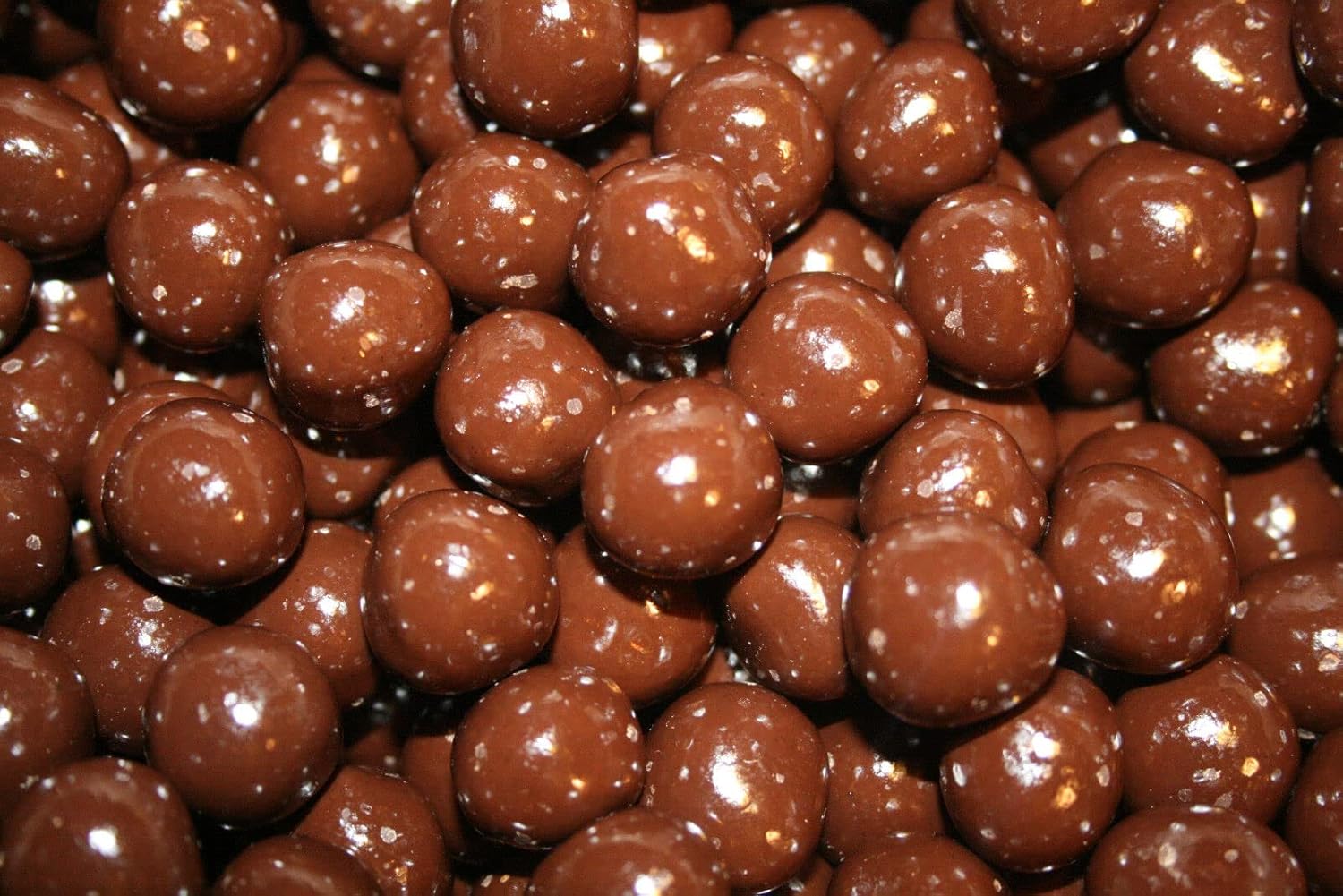 Bayside Candy Dark Chocolate Collection Dark Chocolate Covered Hazelnuts Filberts (2LBS)