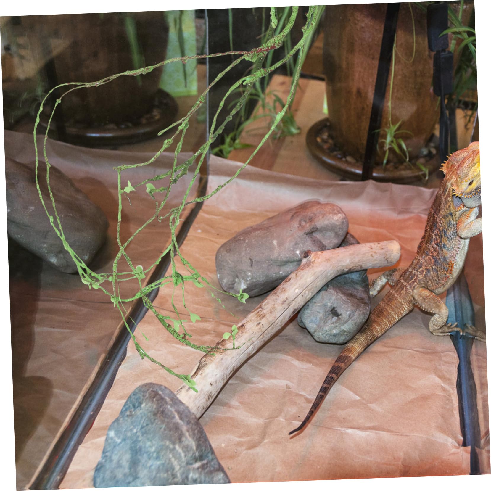 Happyyami Künstliche Rankenpflanze Für Reptilien Terrarium Dekoration Kunstranke Als Kletterpflanze Für Haustier Gecko Dschungel Für Terrarium Zubehör