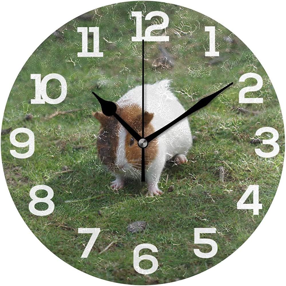 orologi da viaggio atomici