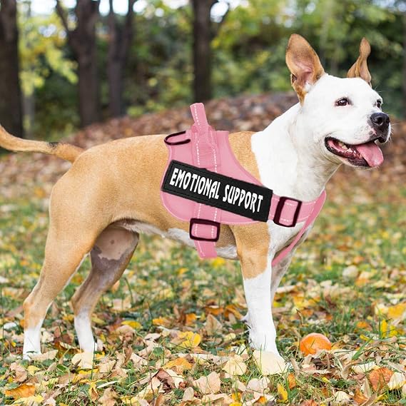 voopet Service Dog Harness, No-Pull Emotional Support Pet Vest Harness, Reflective Breathable and Adjustable Pet Halters for Small Medium & Large Dogs (with 4 PCS Dog Velcro Patches)