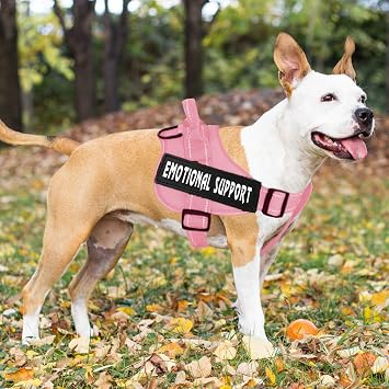 voopet Service Dog Harness, No-Pull Emotional Support Pet Vest Harness, Reflective Breathable and Adjustable Pet Halters for Small Medium & Large Dogs (with 4 PCS Dog Velcro Patches)