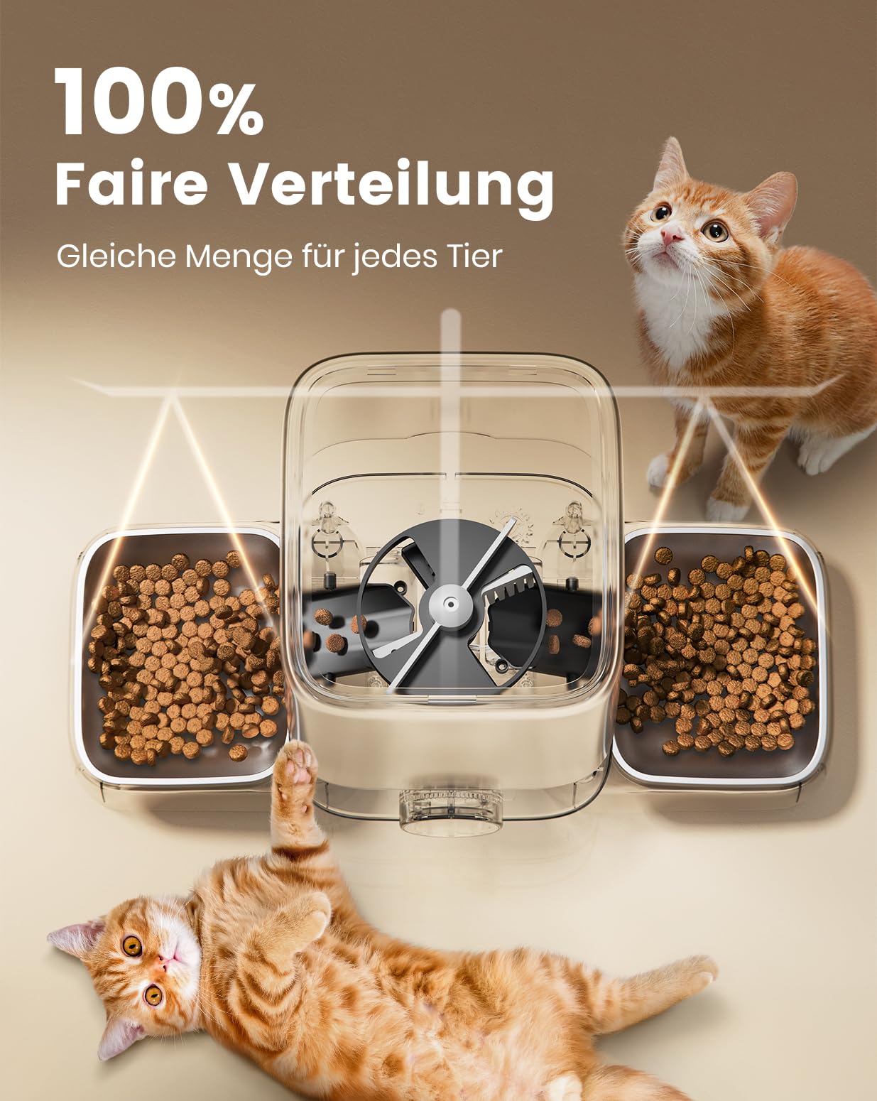 oneisall 5L Futterautomat Katze 2 Näpfe | Einfache Bedienung, 1–6 Mahlzeiten täglich, geeignet für Katzen und Hunde, mit 2 Edelstahlnäpfen, 2KG Trockenfutter speichern