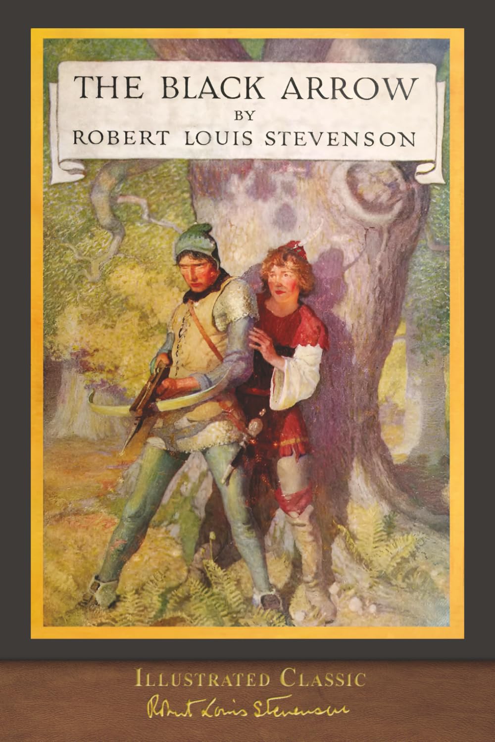 The Black Arrow (Illustrated Classic): Illustrated by N. C. Wyeth