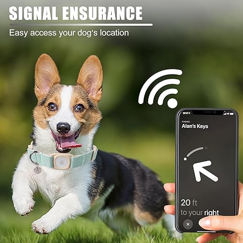 Miniatura 3 de DOGWONG Airtag - Collar de algodón de cáñamo para perro, collar de perro resistente con soporte para Airtag, collar de perro verde duradero de tela