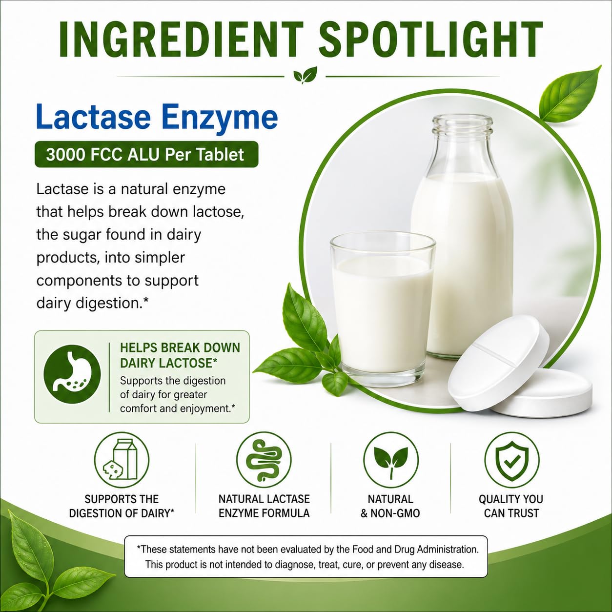 Brieofood Lactase Enzyme Pills - 3000 FCC ALU - 360 Tablets - 360 Servings - Non-GMO, Gluten Free — Amazon image 5