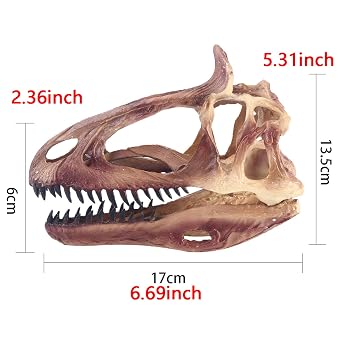Dinosaur Skull Head Model - Resin Animal Cryolophosaurus Skull Replica Animal Skeleton Skull Head Model - for Science Educational Toys,Home Decoration Hanging