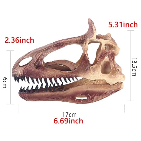 Dinosaur Skull Head Model - Resin Animal Cryolophosaurus Skull Replica Animal Skeleton Skull Head Model - for Science Educational Toys,Home Decoration Hanging