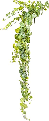 Miniatura 8 de Vickerman Everyday - Arbusto colgante artificial de hiedra de hojas de uva verde y blanca de 51 pulgadas, arbusto de planta colgante sintético para