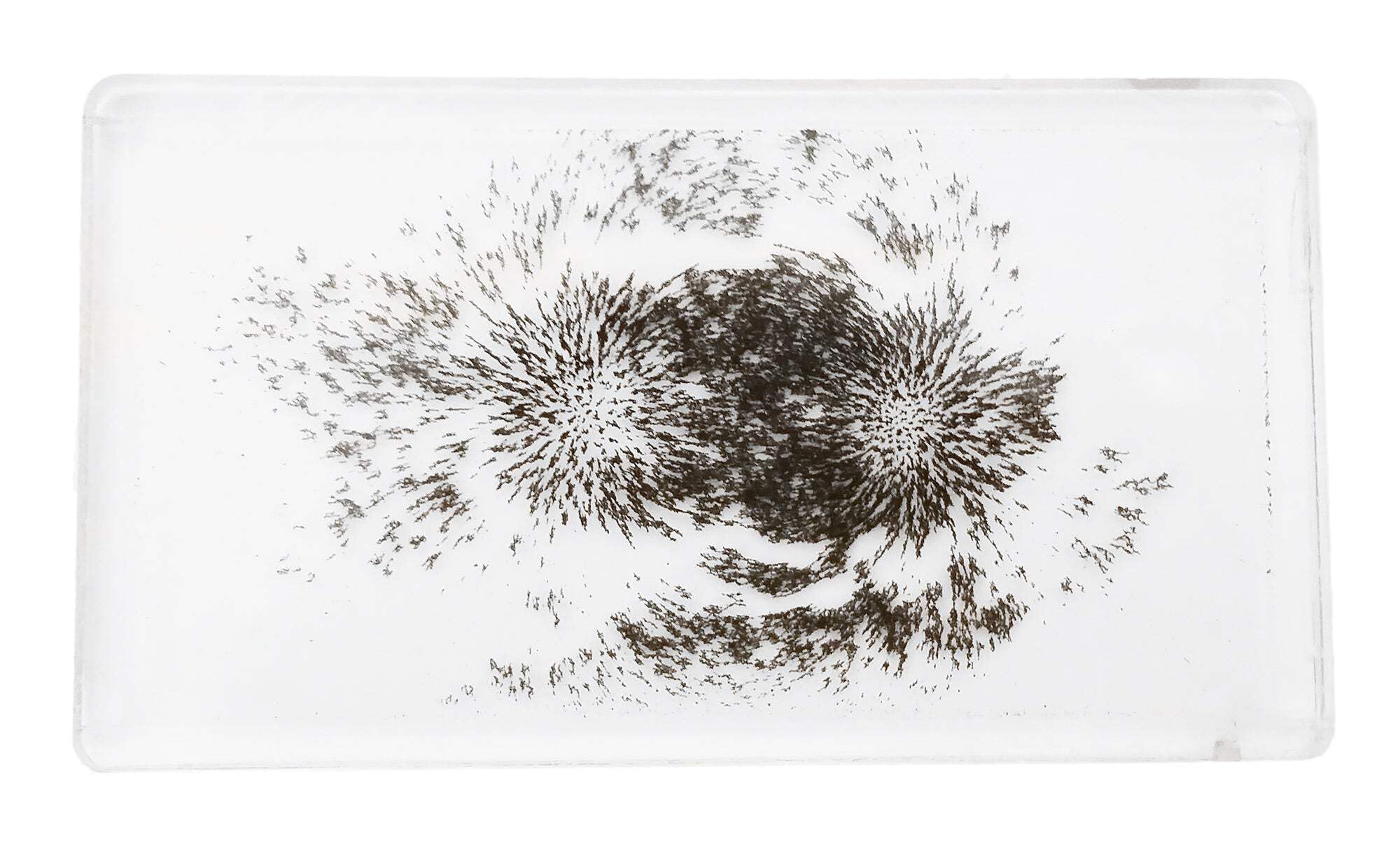 MAGFLD Magnetic Field Demonstration - Explore Magnetism in Science Education. Size 6.4 x 3.6 x .45 inches.